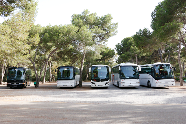 foto que nos define como más que una simple empresa de transportes de pasajeros.